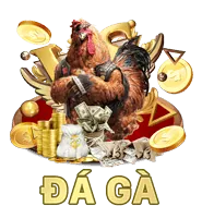 Tình hình chấn thương và đội hình